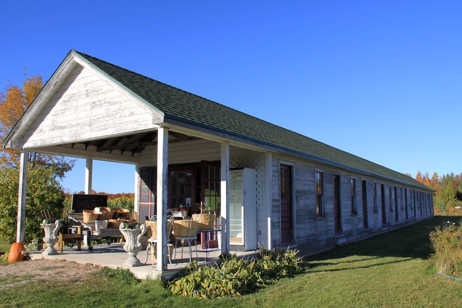 sister bay stories Wildwood Market