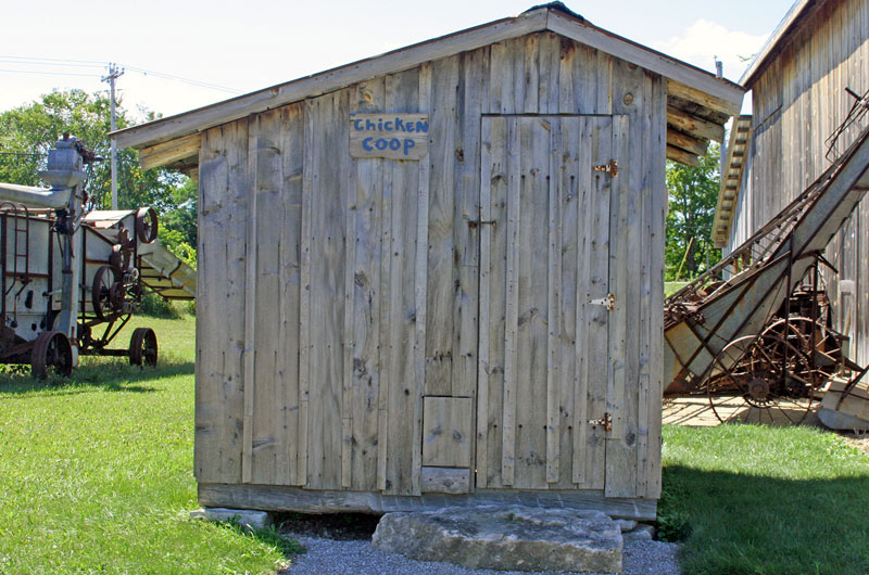 Chicken Coop