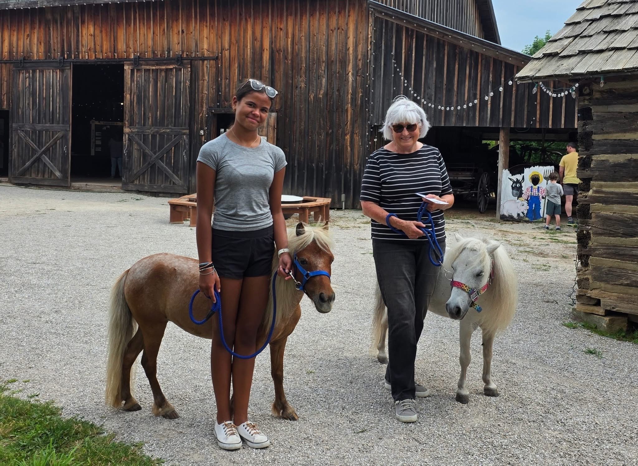 Heritage Program - Miniature Horses at Open Aire Market